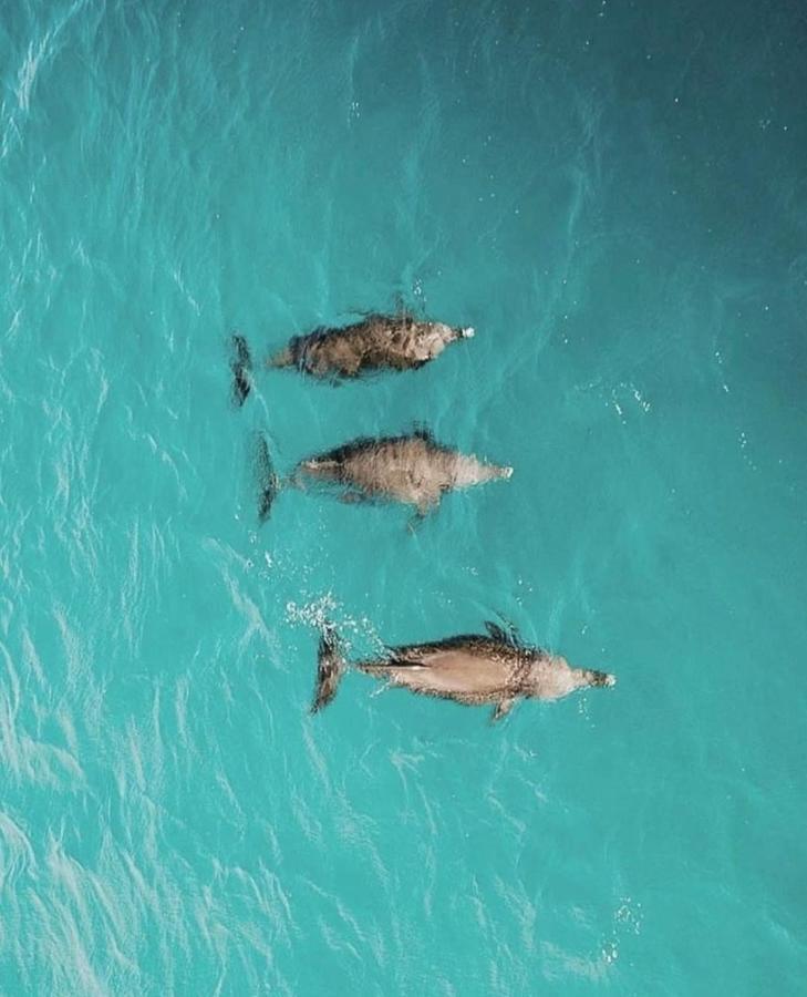 Pousada Tres Coqueiros Praia do Bananal المظهر الخارجي الصورة